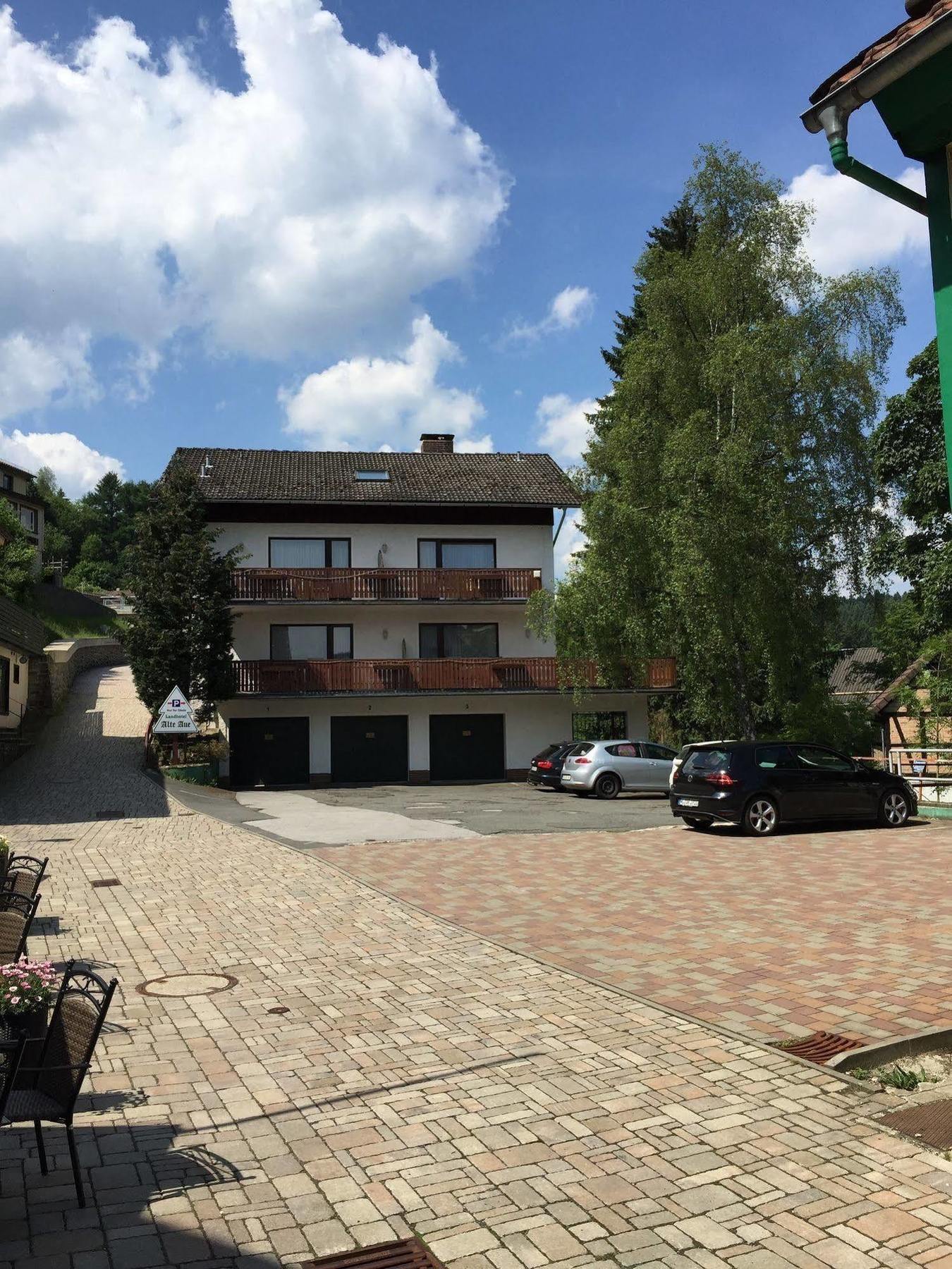 Landhotel Alte Aue Альтенау Экстерьер фото